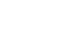 yelp